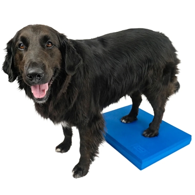 FitPaws Dog Balance Pad för rehabilitering & styrka